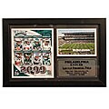 2009 Philadelphia Eagles 12x18-inch Photo Stat Frame