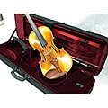 Artist 500 Series Concert Violin, Case and Accessory Package
