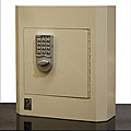 Protex SDL-400E Secure Wall Mount Drop Box