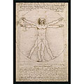 Leonardo da Vinci 'Proportions of the Human Figure (Vitruvian Man)' Textured Art