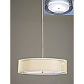 Free supportive article for Antique Carousel Red 3-light Double Shade Antique Nickel Pendant Chandelier