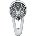 Waterpik Rainfall Easy-select White/ Chrome 7-setting Showerhead