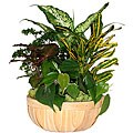 Chipwood Gift Basket