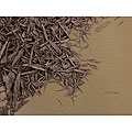 Dewitt Brown Weed Barrier Pro