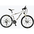 Head Target Alloy Frame Bicycle