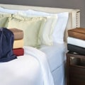 Egyptian Cotton 530 Thread Count Solid Duvet Set