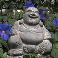 Volcanic Ash Happy Buddha Statue Stone Washed (Indonesia)