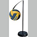 Lifetime Tetherball System