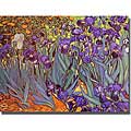 Vincent van Gogh 'Iris Garden' Unframed Canvas Art
