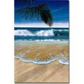 Jacqueline Kresman 'Palm Breezes I' Unframed Canvas