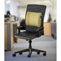 Bodipedic Vibes Vibrating Lumbar Support Back Rest