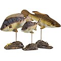 Set of 3 Regent Wooden Fish Figures