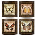 Set of 4 Argento Colorful Butterfly Wall Decor