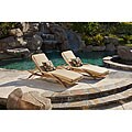 Delano Arc Camel Loungers (Set of 2)