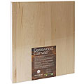 Basswood 11x14-inch Art Canvas