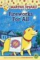 Fireworks for All! (Paperback)