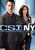 CSI: NY - The Sixth Season (DVD)