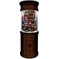 Pearl 60-gallon Complete Aquarium System