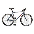 Fixie Flat Grey Fixed Gear Flip Flop Hub Racing Bike