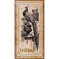 Corey Wolfe 'India Peacock' Gallery-wrapped Canvas