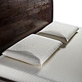 Free correlative info on Lbs Please Comfort Dreams Select-A-Firmness Standard Size Premium 4 LB Density Crowned Classic Pillow (Set of 2)