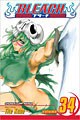 Bleach 34 (Paperback)
