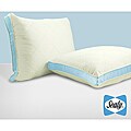 Sealy 300 Thread Count Medium Support Pillows (Set of 2)