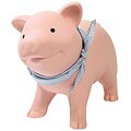 Compare products of money jar pictures Rubber Piggy Bank