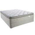 Sealy Brand Moonstruck Plush Euro Pillowtop Queen-size Mattress Set