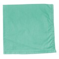 Turquoise Napkins (Set of 4)