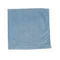Blue Napkins (Set of 4)