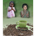 Essential guideline on Rescue Mannequins Aquatics Medium Dark Roast 2-pound Coffee Bag (Thailand)