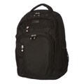 Ricardo Beverly Hills Essentials 20-inch Laptop Backpack