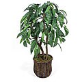 Silk Screen 3.5-foot Mango Tree