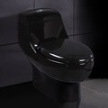 Ariel 'Fina' Dual Flush Toilet
