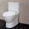 Ariel Platinum 'Adriana' Dual Flush Toilet