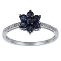 10k White Gold Blue Sapphire and Diamond Accent Ring