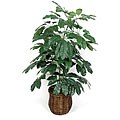 Silk 4-foot Giant Schefflera Plant