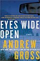 Eyes Wide Open (Hardcover)