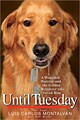 Until Tuesday (Hardcover)