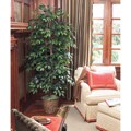 Green 6-foot Ficus Bush Natural Wood Trunk Decorative Rattan Basket