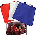 TrailWorthy Hot/ Cold Insulated Tote Bags (Case of 25)