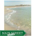 Complementing truths about surfing Tin Sign Orange Cat Art, Jill M. Davis 'Shell in the Sand' Photographic Print