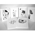 Kathie McCurdy Black and White Flower Greeting Cards (Set of 6)