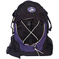 University of Washington Huskies Purple Backpack