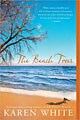 The Beach Trees (Paperback)