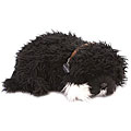 Perfect Petzzz Portuguese Water Dog Lifelike Puppies (Pack of 12)