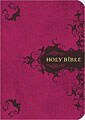 Holy Bible (Paperback)