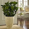 Large Venetian Planter (Indonesia)