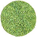 Handmade Green Cotton Shag Rug (4'9 Round)